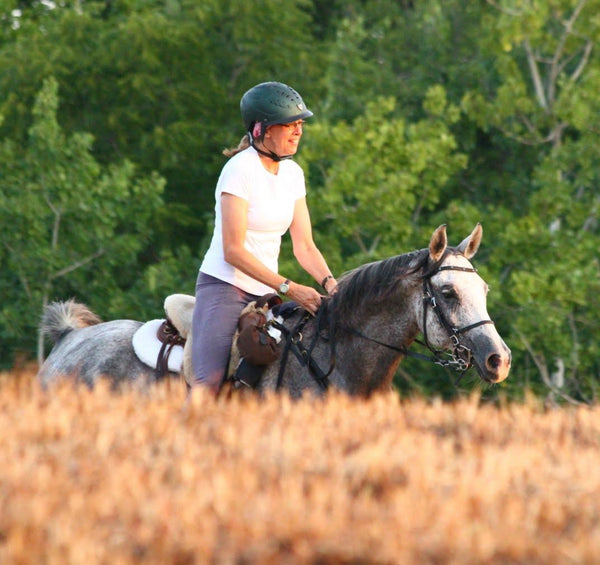 Acupressure points to increase horses endurance