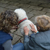 Bladder meridian used in acupressure massage